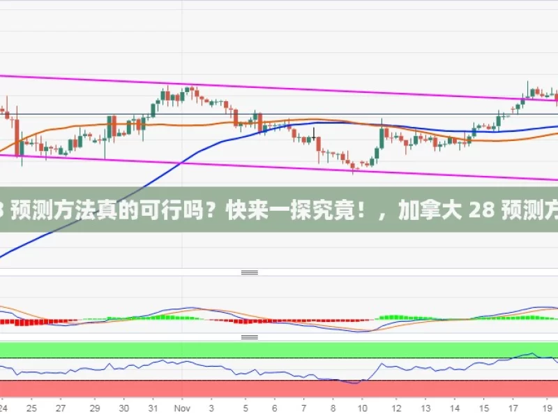 加拿大 28 预测方法真的可行吗？快来一探究竟！，加拿大 28 预测方法可行否