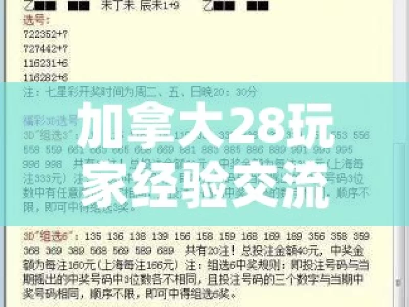 加拿大28玩家经验交流，如何提升胜率？加拿大28玩家经验交流，你准备好了吗？，加拿大 28 玩家经验之提升胜率探讨