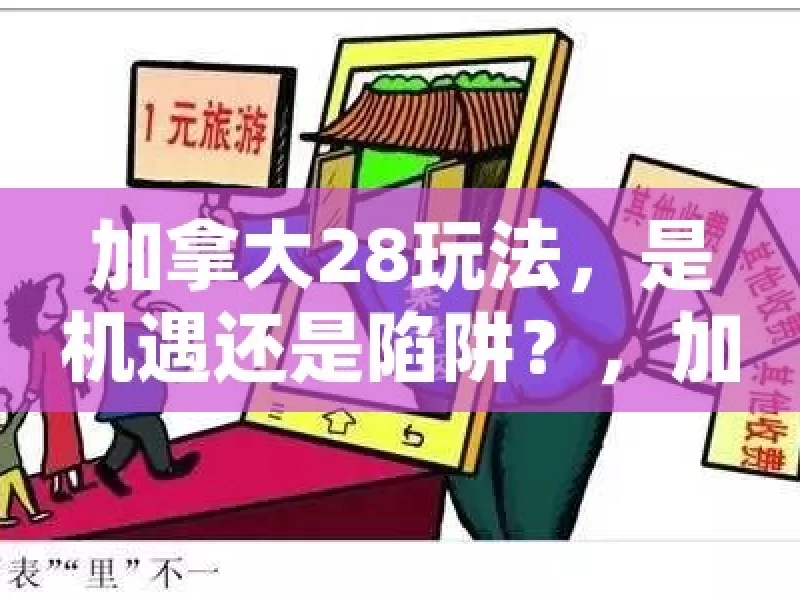 加拿大28玩法，是机遇还是陷阱？，加拿大 28 玩法，机遇或陷阱