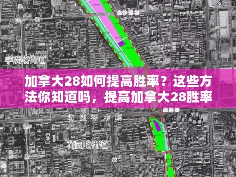 加拿大28如何提高胜率？这些方法你知道吗，提高加拿大28胜率之法