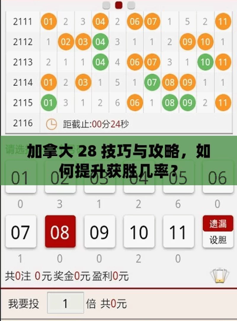 加拿大 28 技巧与攻略，如何提升获胜几率？