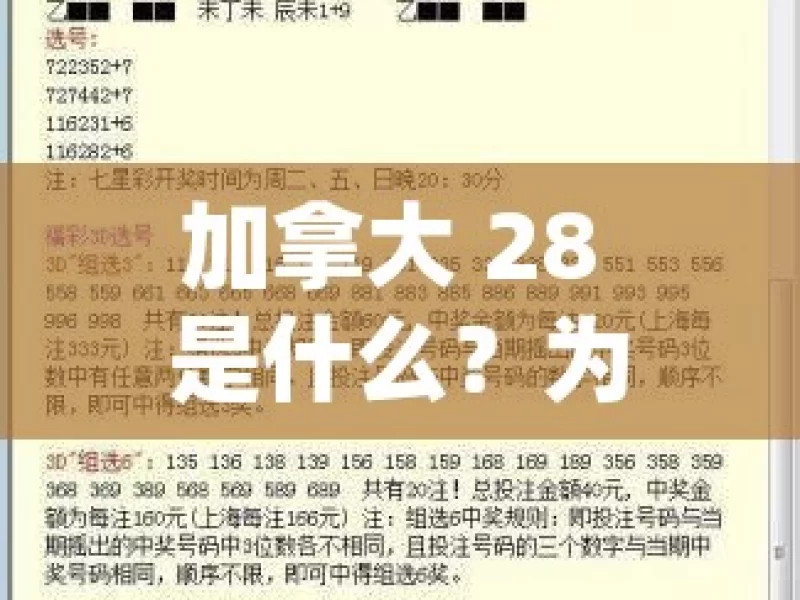 加拿大 28 是什么？为何引发关注？，探究加拿大 28 为何受关注