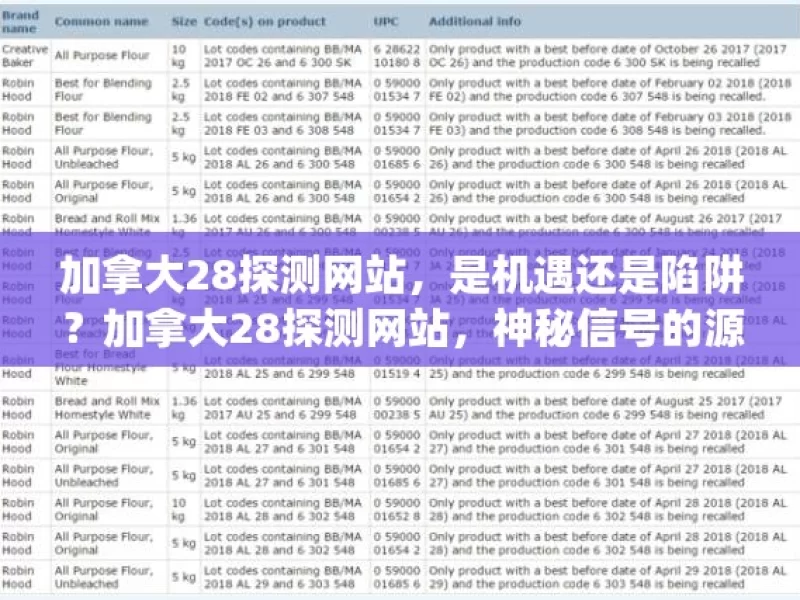 加拿大28探测网站，是机遇还是陷阱？加拿大28探测网站，神秘信号的源头？，加拿大28探测网站之谜