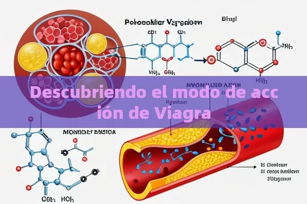 Descubriendo el modo de acción de Viagra - La Solución para la Eyaculación Precoz