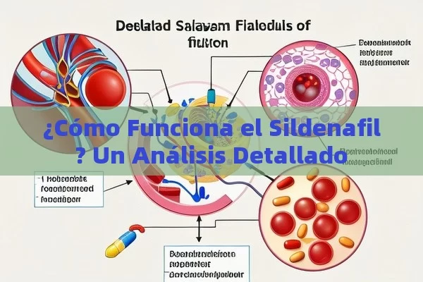 ¿Cómo Funciona el Sildenafil? Un Análisis Detallado