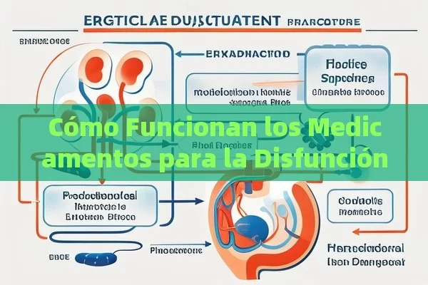 Cómo Funcionan los Medicamentos para la Disfunción Eréctil