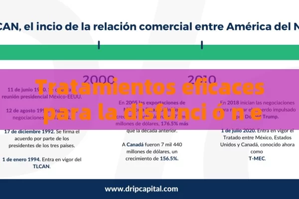 Tratamientos eficaces para la disfunci ó n er é ctil: todo lo que debe ser conocer . - La Solución para la Eyaculación Precoz