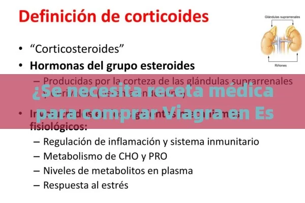 ¿Se necesita receta médica para comprar Viagra en España? Todo lo que debes saber - La Solución para la Eyaculación Precoz